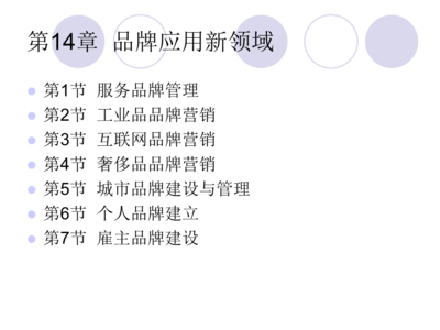 品牌管理第14章 品牌应用新领域